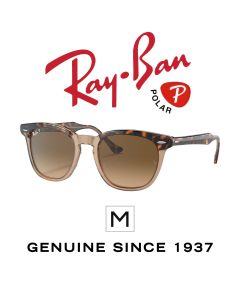 Óculos de Sol Originais > Ray-Ban 2298 · Hawkeye 1292/M2 Polarizados