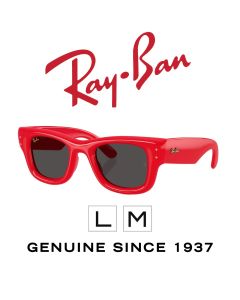 Óculos de sol originais > Ray-Ban 4940 - Puffer 6831/87