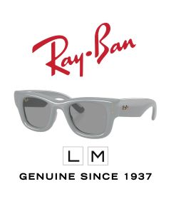 Óculos de Sol Originais > Ray-Ban 4940 · Puffer 6876/1