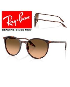 2x Hastes Reposição Originais > Ray-Ban 2204