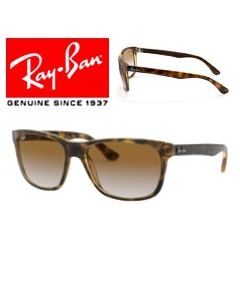 Lâminas de substituição para as hastes Ray-Ban 4181